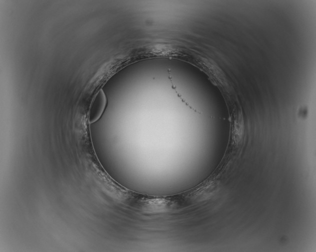 X0000112060473200908041219