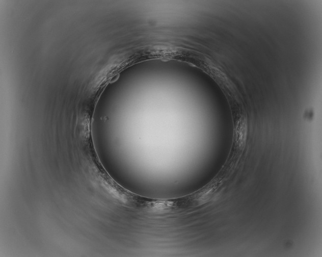 X0000112060474200908041219