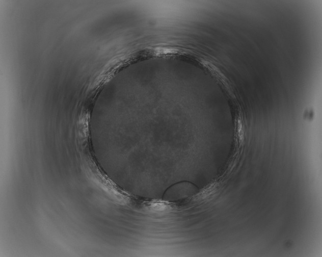 X0000112060475200908041219