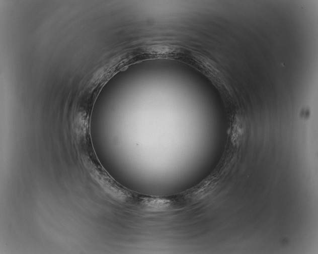 X0000112060476200908041219