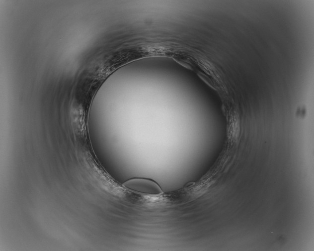 X0000112060477200908041219