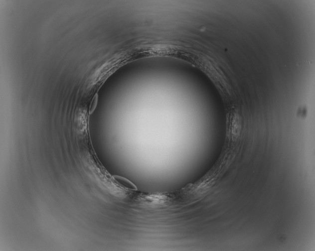 X0000112060478200908041219