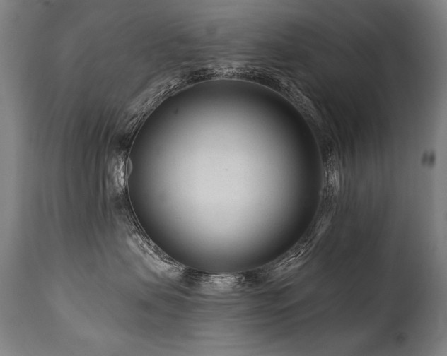 X0000112060479200908041219