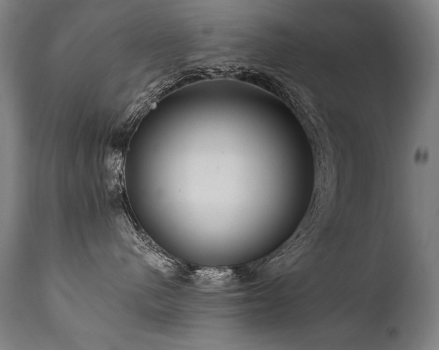 X0000112060480200908041219