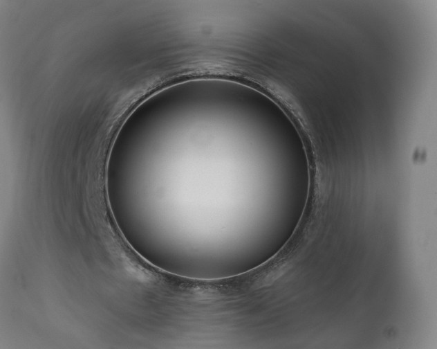 X0000112060481200908041218