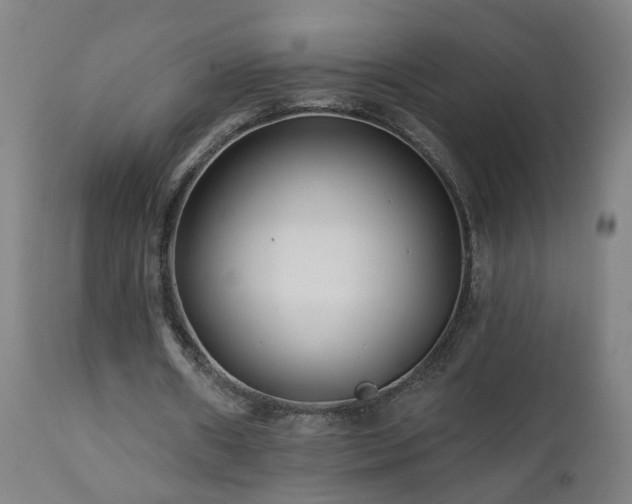 X0000112060482200908041218