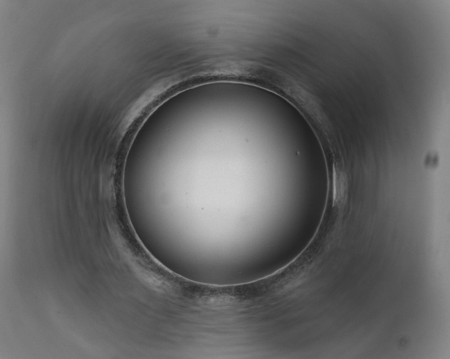X0000112060483200908041218