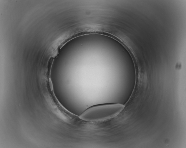 X0000112060485200908041218