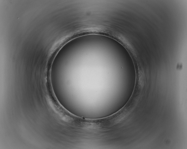 X0000112060486200908041218