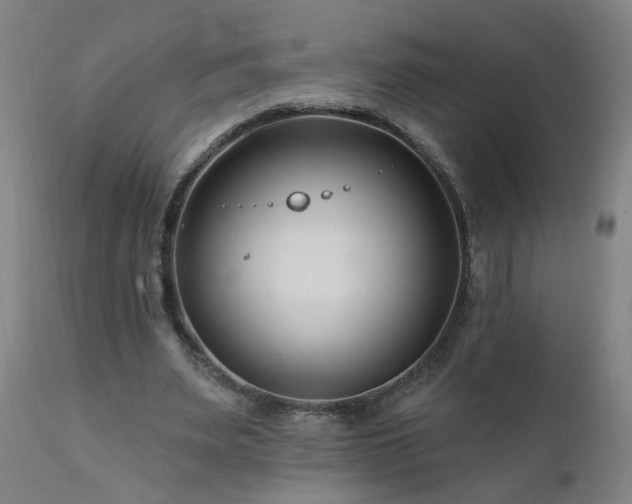 X0000112060487200908041218