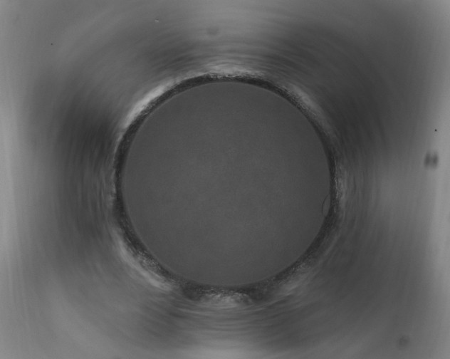 X0000112060488200908041218