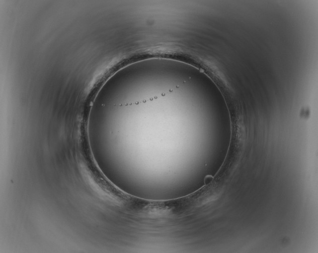 X0000112060491200908041218