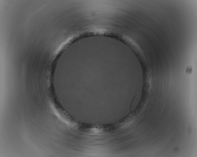X0000112060496200908041218
