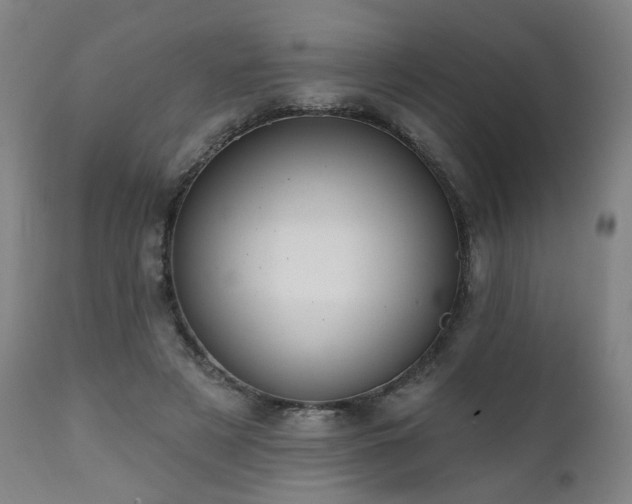 X0000112060497200908041218