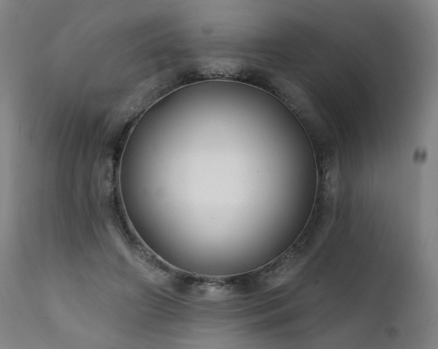 X0000112060498200908041218
