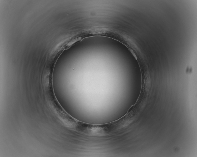 X0000112060501200908041217