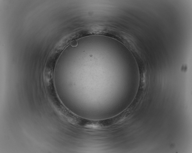 X0000112060503200908041217