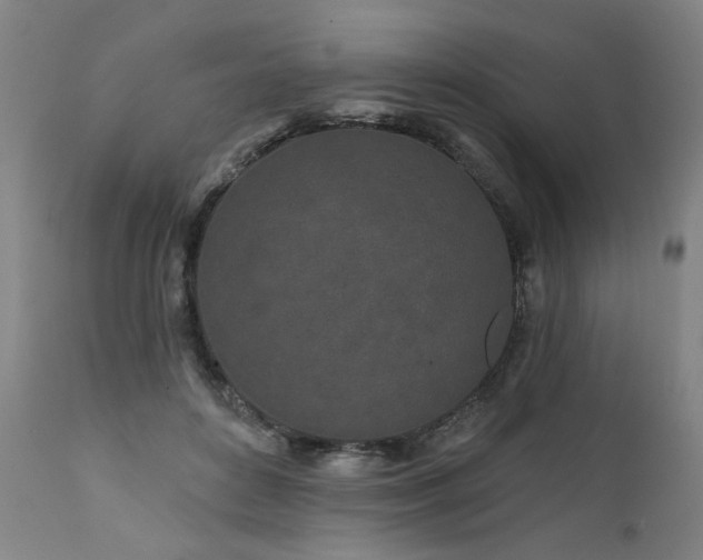 X0000112060504200908041217
