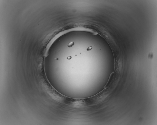 X0000112060505200908041217