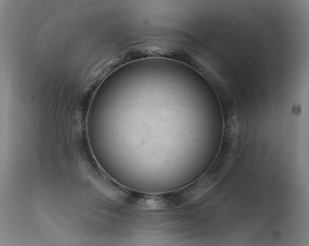 X0000112060506200908041217