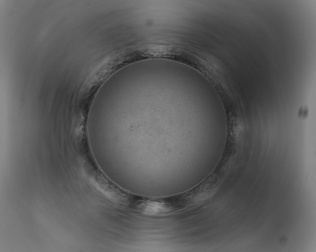 X0000112060507200908041217