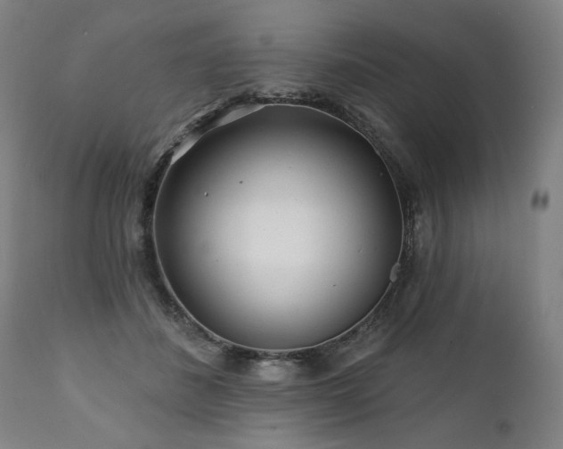 X0000112060508200908041217
