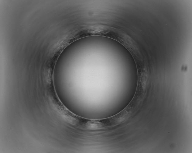 X0000112060510200908041217