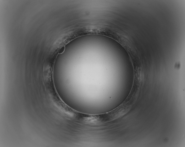 X0000112060511200908041217