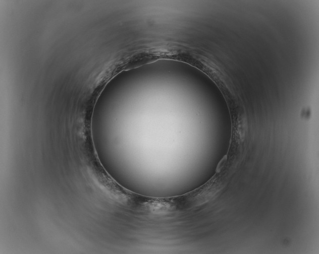 X0000112060512200908041217