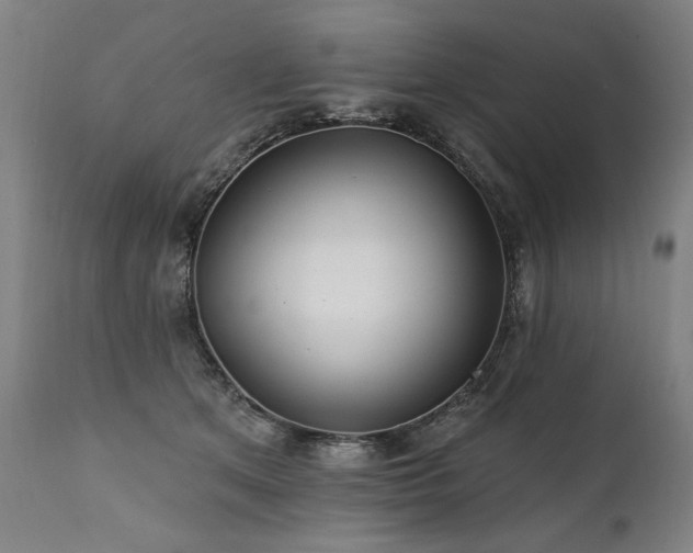 X0000112060513200908041217