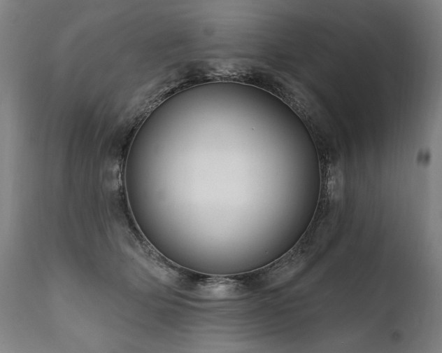 X0000112060514200908041217