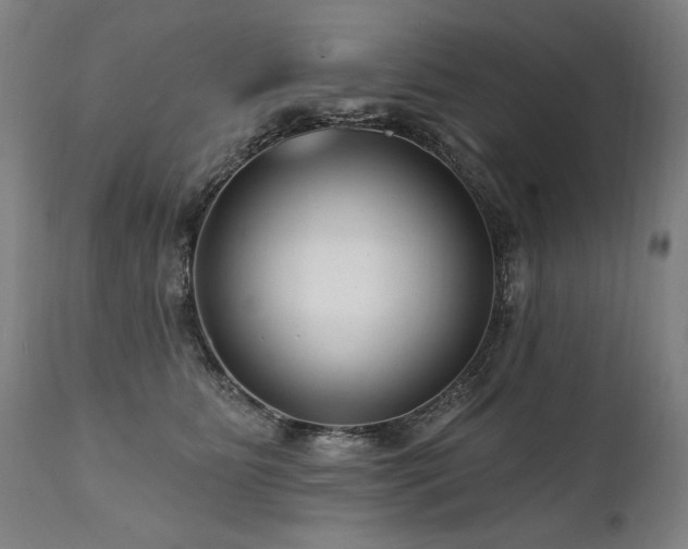 X0000112060515200908041217