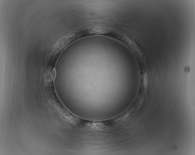X0000112060517200908041217