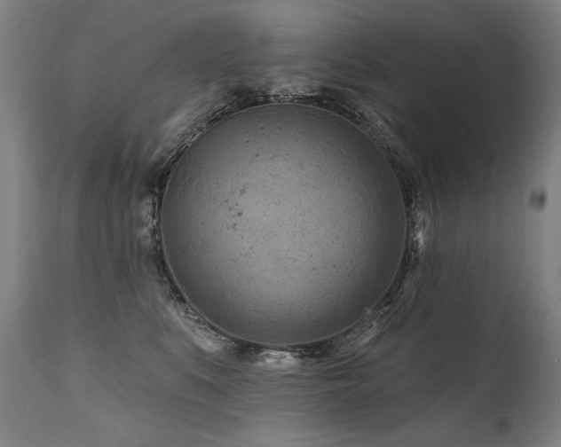 X0000112060519200908041217