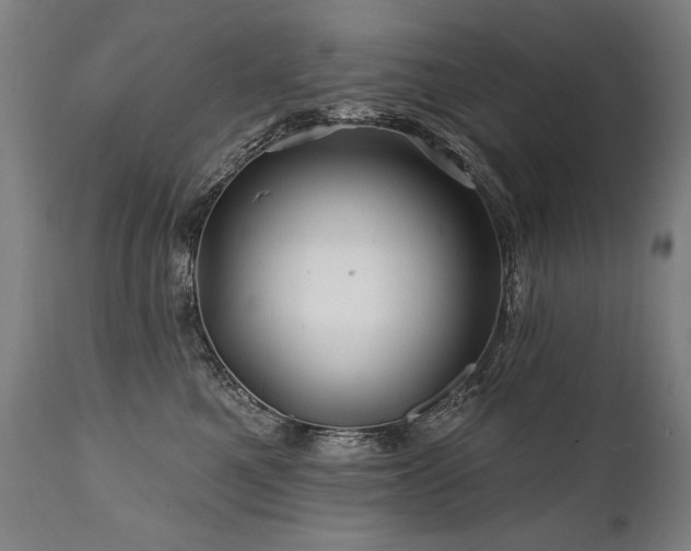 X0000112060521200908041217