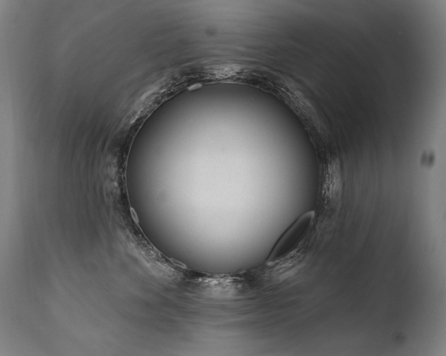 X0000112060524200908041217