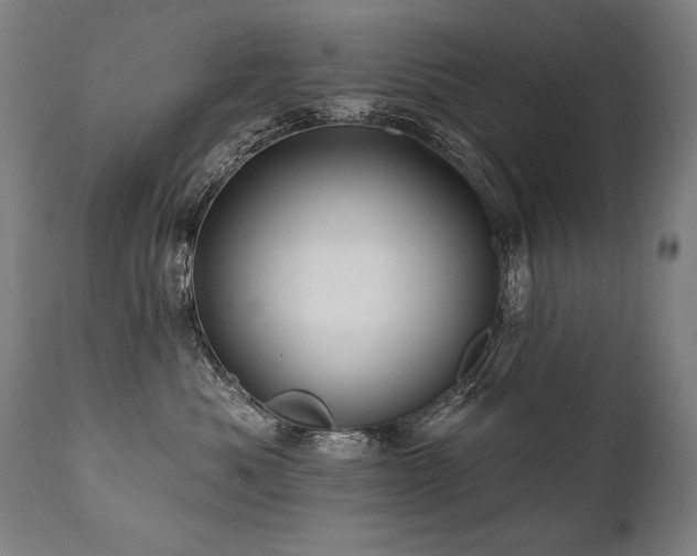 X0000112060525200908041217