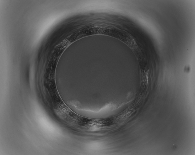 X0000112060526200908041217