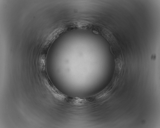 X0000112060527200908041217