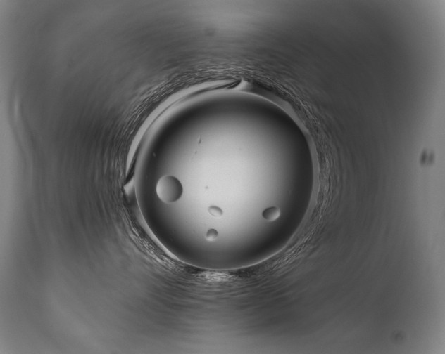 X0000112060528200908041217