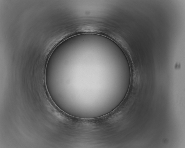 X0000112060529200908041216
