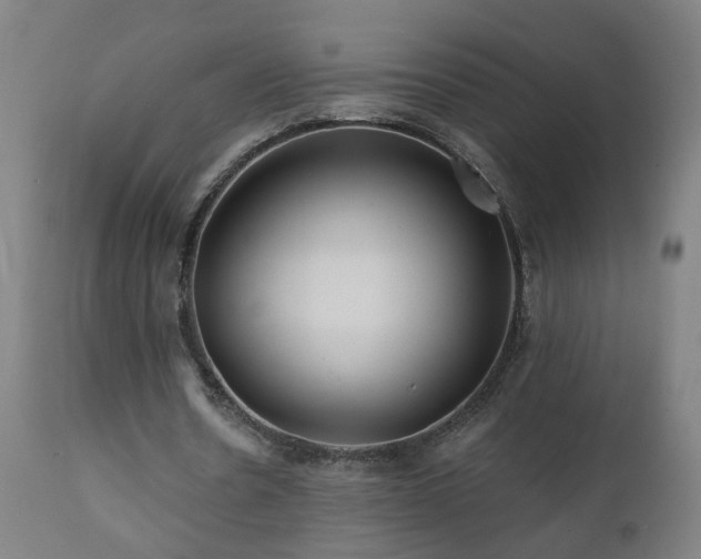 X0000112060530200908041216