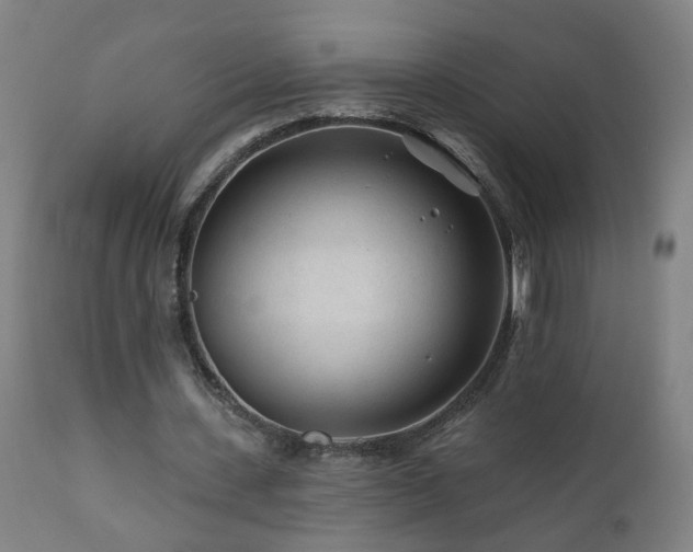 X0000112060531200908041216