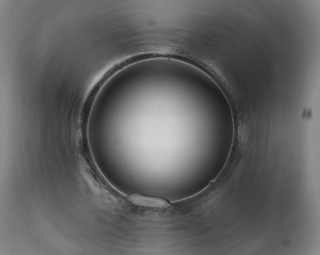 X0000112060532200908041217