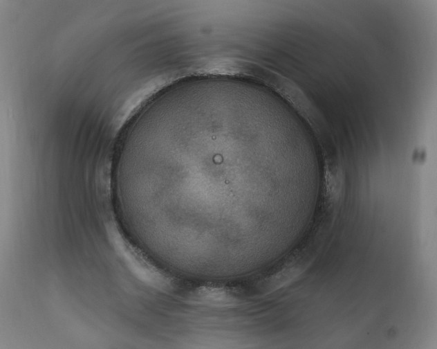 X0000112060534200908041217