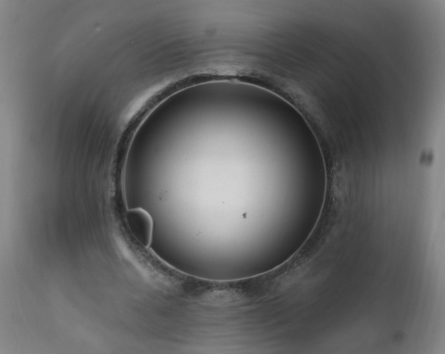 X0000112060536200908041217