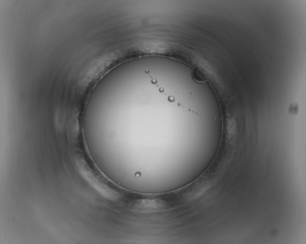 X0000112060541200908041217