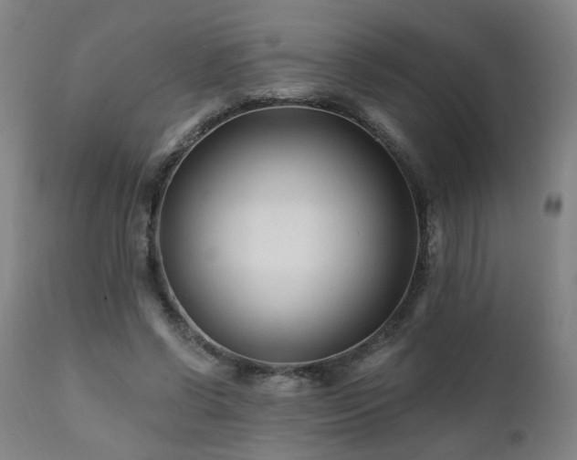 X0000112060542200908041217