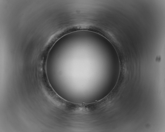 X0000112060543200908041217