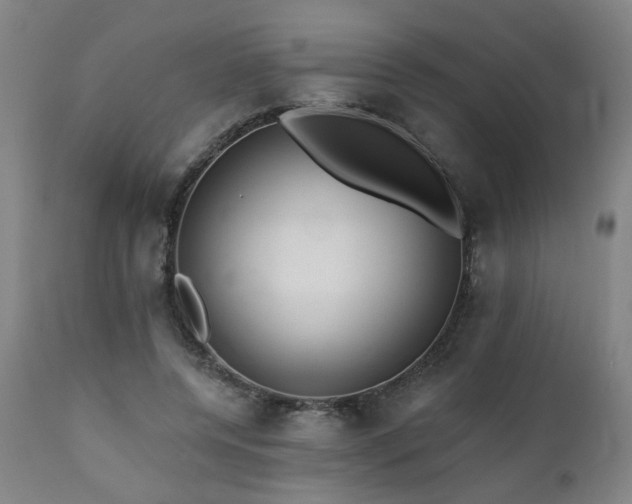 X0000112060544200908041217
